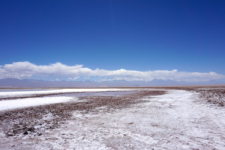 San Pedro de Atacama51