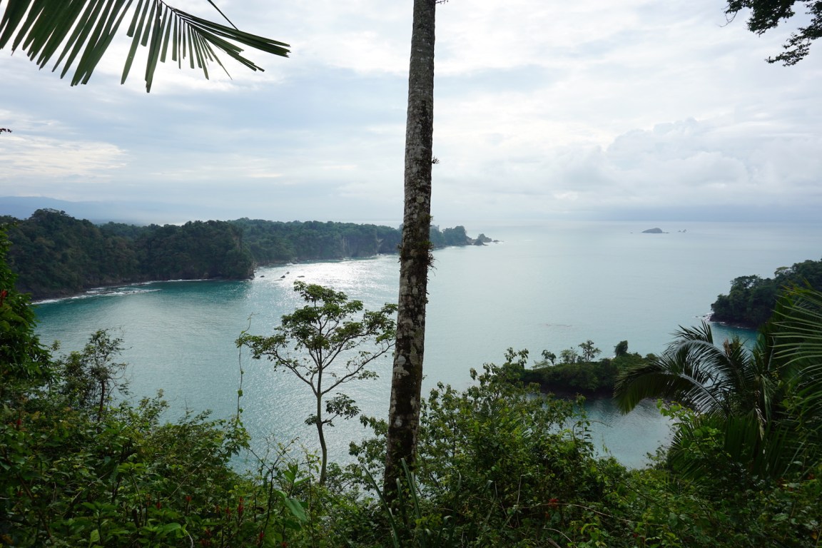 Manuel Antonio7