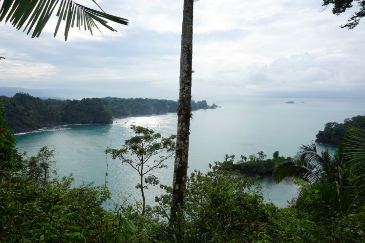 Manuel Antonio7