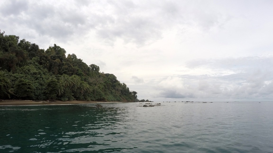 DCIM100GOPROGOPR1645.