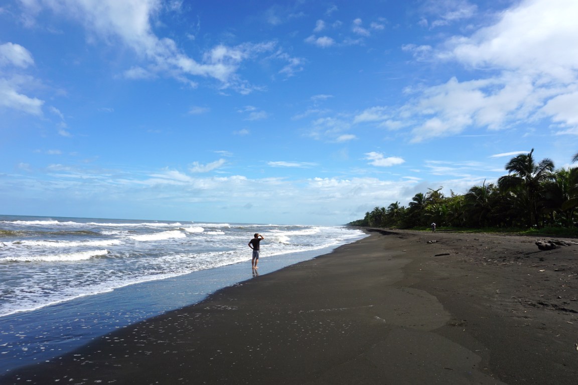 Tortuguero1