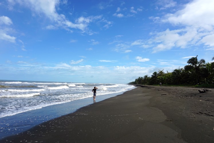 Tortuguero1