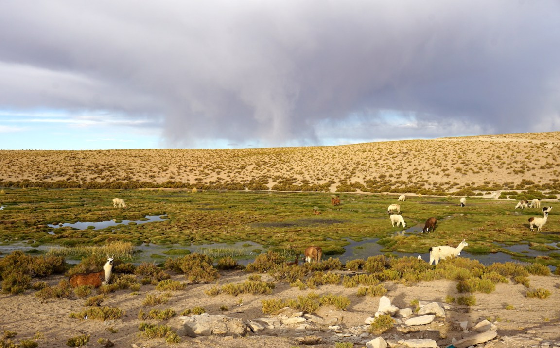 Uyuni1