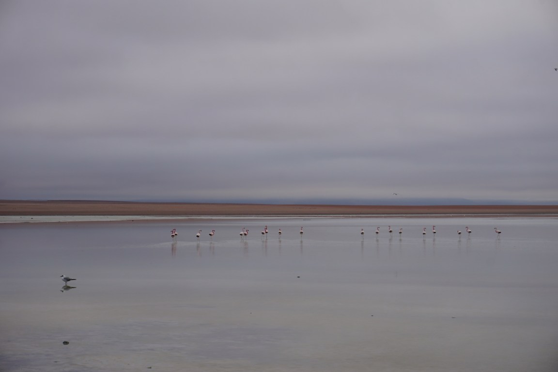 Uyuni115