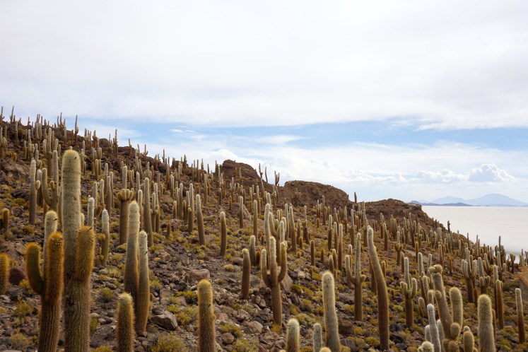 Uyuni51
