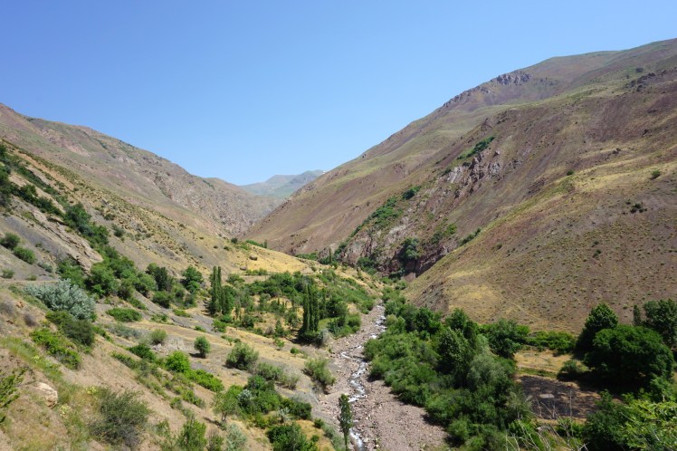 Alamut39